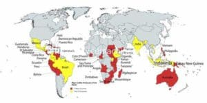 Top 5 Coffee Countries Every Coffee Lover Should Visit